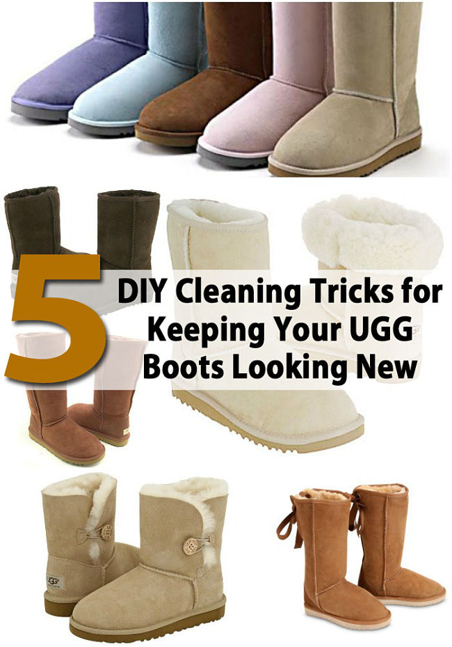 how to clean your uggs boots