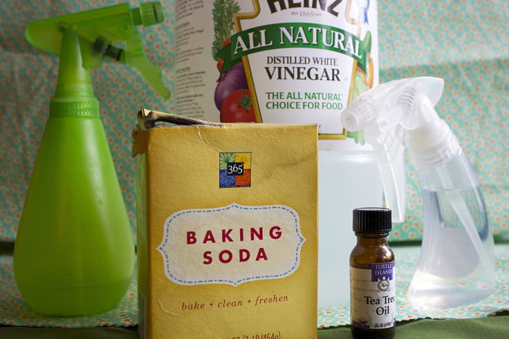 Ingredients for cleaning slate tiles - learn how to do it here